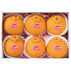 D-50　鹿児島県産　大将季