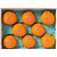 D-80　鹿児島県産　大将季