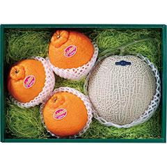 MD-60　アールスメロンと大将季