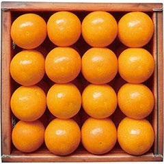 KI-38　鹿児島県産　ハウス金柑