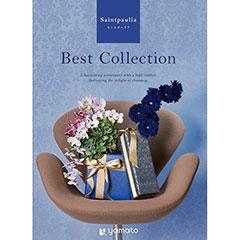 セントポーリア　ベストコレクション