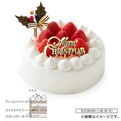 03.モロゾフ　クリスマスストロベリーショートケーキ【お渡し場所　天文館ベルク広場】