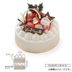 08.パティスリー ル ドーム　ノエル ショートケーキ【お渡し場所　天文館ベルク広場】