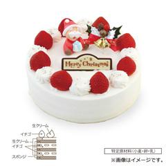 10.ケーキハウス アプリコット　生クリーム6号【お渡し場所　天文館ベルク広場】