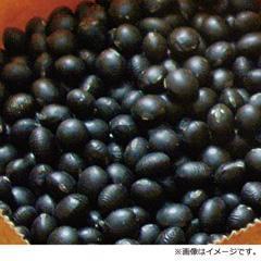 H-41新物 光黒大豆（北海道産）（500g×2袋）