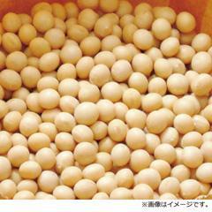 H-43新物 北海道大豆（北海道産）（500g×2袋）