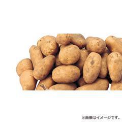 H-47新物 メークイン L玉（北海道産）