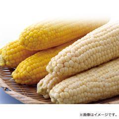 H-50［キョクトー］ゆでとうもろこし 2種詰合せ