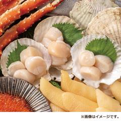 H-01　北海道産 帆立貝柱（生・冷凍）（300ｇ）