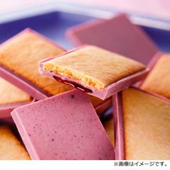 H-14　［morimoto］ 北の散歩道 ハスカップ