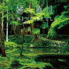 山紫　婦人画報