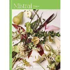 オレガノ　Mistral