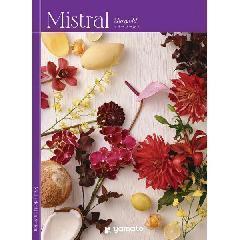 マリーゴールド　Mistral