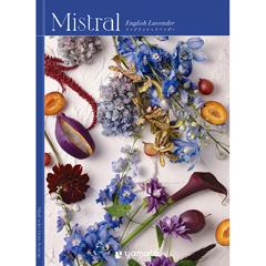 イングリッシュラベンダー　Mistral