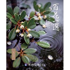 もっこく　百花一選