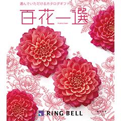 ゆりのき　百花一選