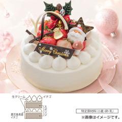 07.パティスリー ル ドーム　ノエル ショートケーキ【お渡し場所　天文館ベルク広場】