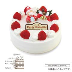 10.ケーキハウス アプリコット　生クリーム6号【お渡し場所　天文館ベルク広場】