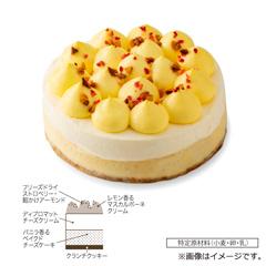 47.プリンスホテル　パーフェクトチーズケーキ【お渡し場所　天文館ベルク広場】