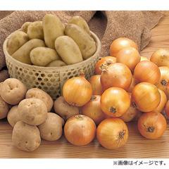 どさんこ農産物定番セット