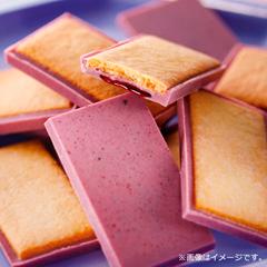 H-22　［morimoto～もりもと～］　北の散歩道ハスカップ