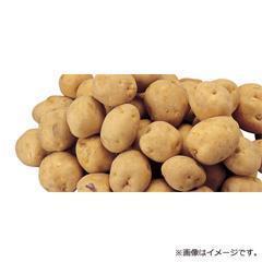 ≪送料込≫H-47新物 ようてい男しゃく LM～L玉（北海道産）