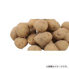 ≪送料込≫H-49新物 きたあかり LM～L玉（北海道産）