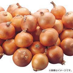 ≪送料込≫H-50新物 たまねぎ L玉（北海道産）