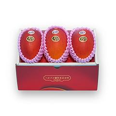 T－２L３　みやざき完熟マンゴー「太陽のタマゴ」