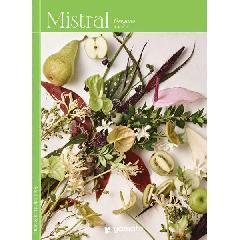 オレガノ　Mistral