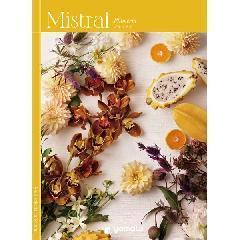 プルメリア　Mistral