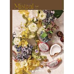 ヨーク　Mistral