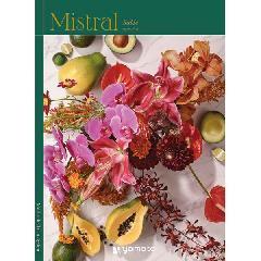 セーブル　Mistral