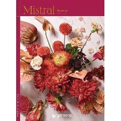 スーニオン　Mistral