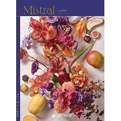 アンティーブ　Mistral