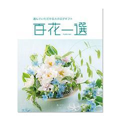 あけび　百花一選