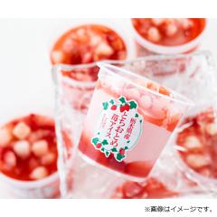 (EG-T6)　栃木県産とちおとめ苺アイス