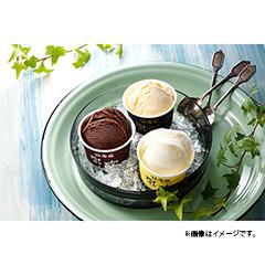 北海道　「乳蔵」冬の濃厚アイスクリーム 12個