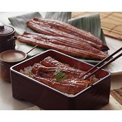 【冷凍】愛知県産 うなぎ蒲焼(190g×2尾）（鰻：愛知県産・加工地：愛知県）