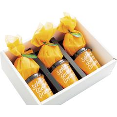 SZJ-A　清武町Cozy Farm　果肉入りせとかゼリー詰合せ