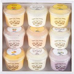 FA-50　ヨーグルト フォーシーズンズ　フルーツヨーグルトアソート9入り