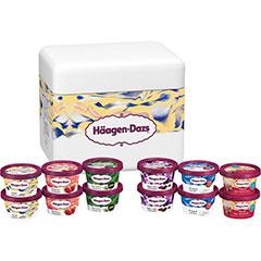 HD-4　ハーゲンダッツ　ミニカップセット