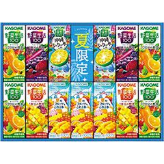 KYJ20S　カゴメ　サマーバラエティギフト