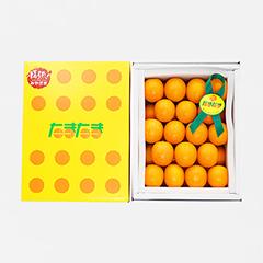 TA－３L１K　完熟きんかん「たまたま」