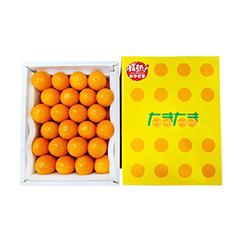 TA－２L１K　完熟きんかん「たまたま」