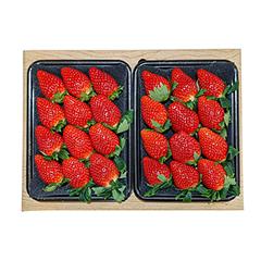 GRACE-2　川南町　河野農園　「GRACE」苺