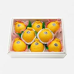 S－８　宮崎県産「不知火」