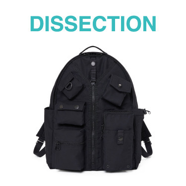 DISSECTION