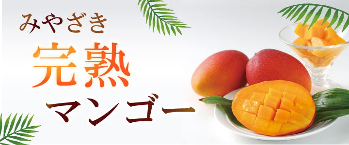 みやざき完熟マンゴー