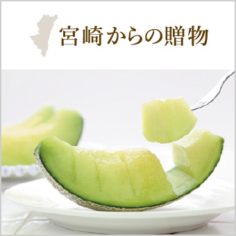 宮崎からの贈り物